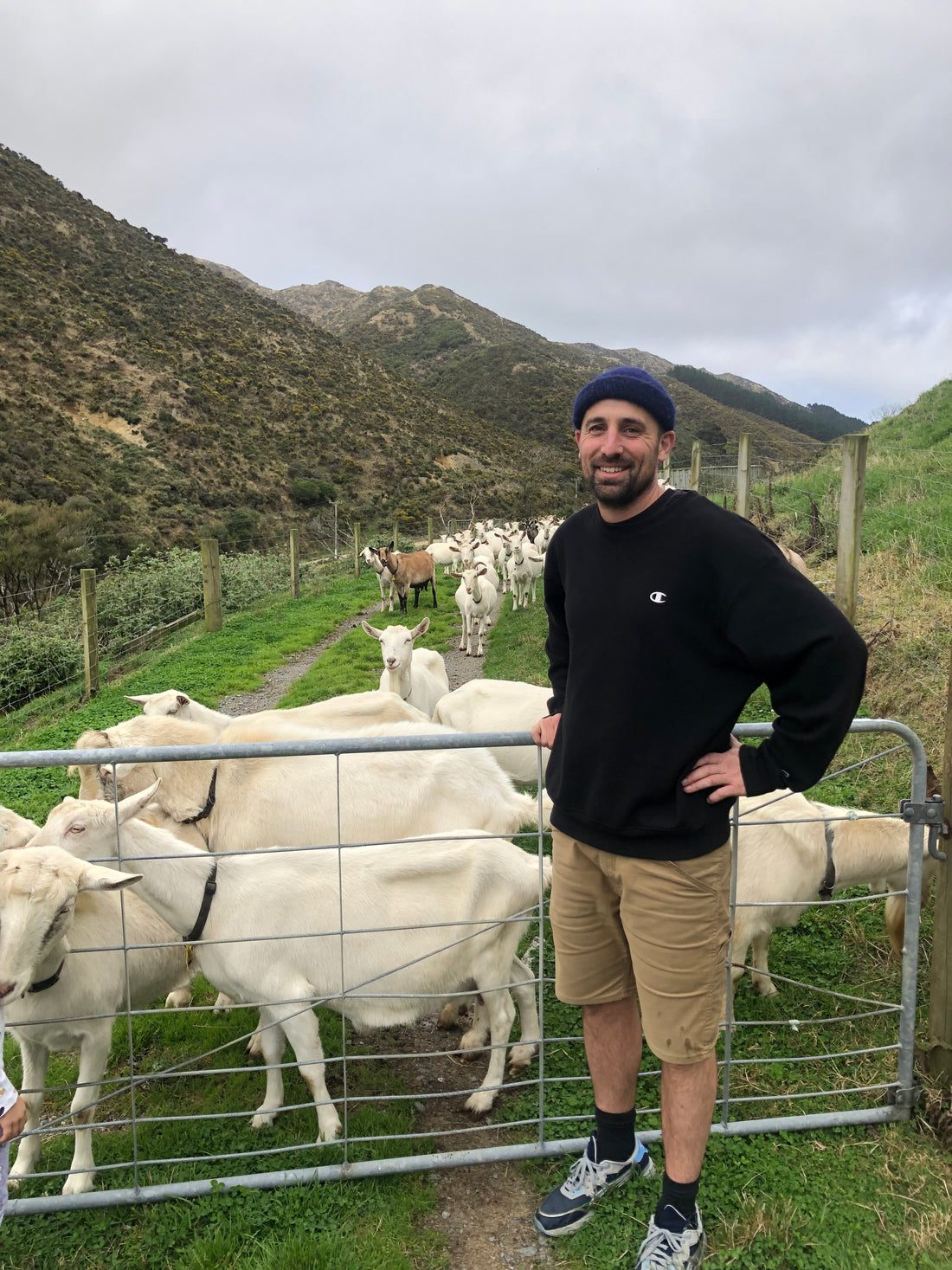 Good day to be a goat